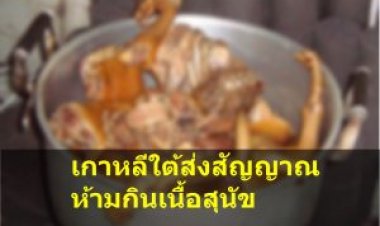 โฆษก ปธน.เกาหลีใต้ ส่งสัญญาณห้ามกินเนื้อสุนัข