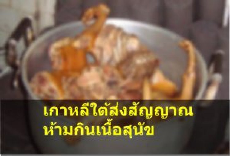 โฆษก ปธน.เกาหลีใต้ ส่งสัญญาณห้ามกินเนื้อสุนัข